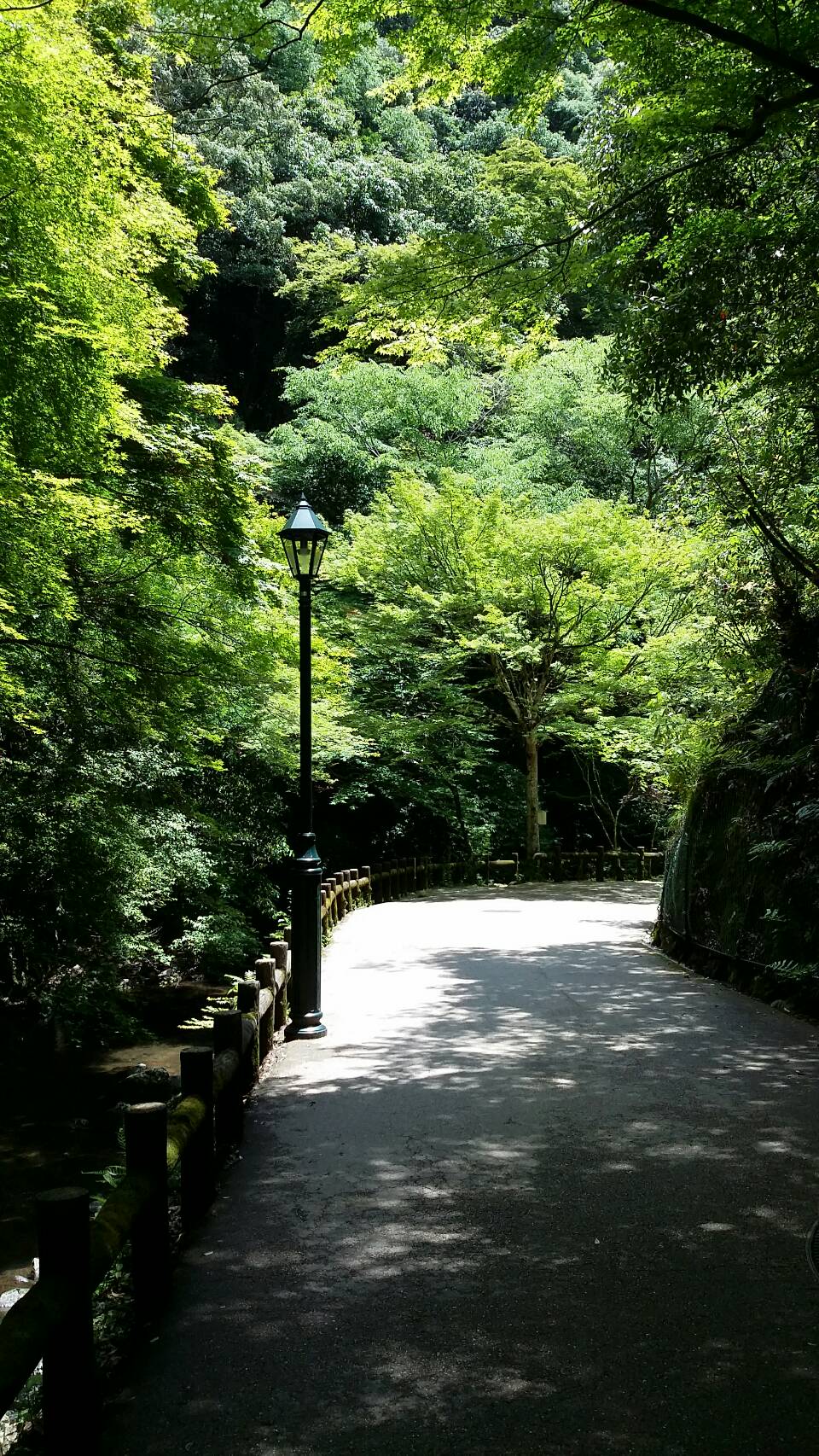 山間の道の画像